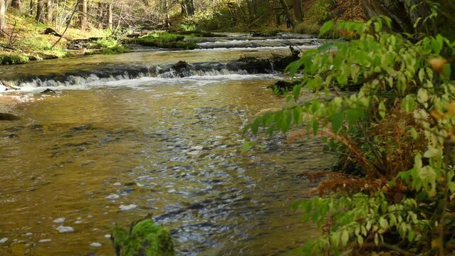 Water rapids on the Tanew River on a sunny autumn day,