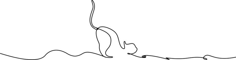 line art cat for a animals day