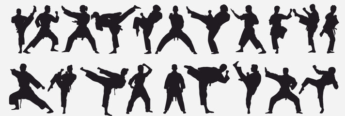 martial arts silhouette bundle for any design purpose.
 Taekwondo, judo, wushu, capoeira, mma fighters in fighting poses, action. Wrestling, kick boxing, muay thai, sambo sports.