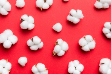 Autumn Floral Flat lay background composition. Dried white fluffy cotton flower branchwith green leaf top view on colored table with copy space