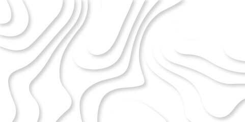 Abstract white paper cut background with lines. Background of the topographic map. White wave paper curved reliefs abstract background. Realistic papercut decoration textured with wavy layers.