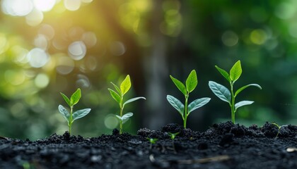 Growth is not just a goal but a journey that involves embracing change and overcoming challenges to improve oneself