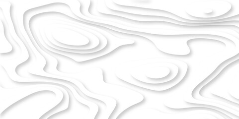 Abstract white paper cut background with lines. Background of the topographic map. White wave paper curved reliefs abstract background. Realistic papercut decoration textured with wavy layers.
