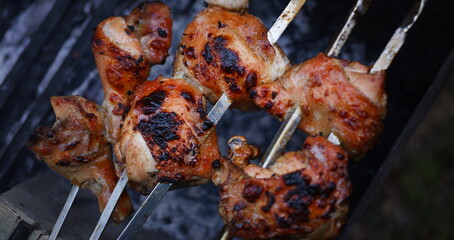 Close-up of grilling tasty dish on barbecue. Process of cooking yummy shashlik in nature. Delicious...