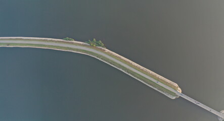 Top view of track above water scene. Travellers driving by driveway with green plant and bridge construction. Picturesque landview. Travelling and tourists concept