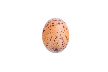 Chicken egg isolated on white background, Raw food, Food ingredient