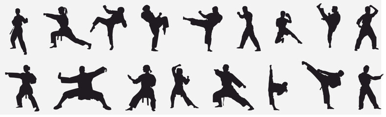 mix martial arts, Kungfu, boxing, karate, kick boxing, jujitsu, taekwondo, sumo, mauy thai. Silhouette vector illustration.	