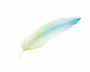 Obraz premium one feather, soft background