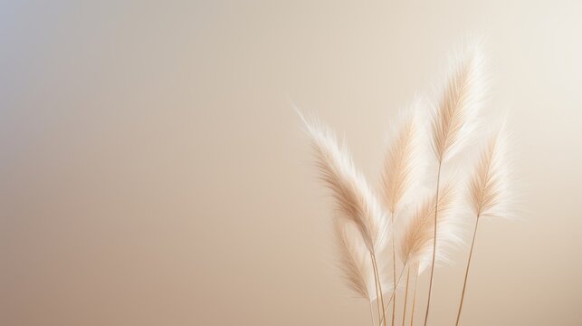 An elegant and serene essence of minimalism, featuring delicate dried bunny tail grass in a soft hue, set against a clean, neutral background with ample copy space for text