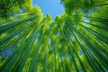 Bamboo Grove: Tall, slender bamboo stalks creating a serene atmosphere. 