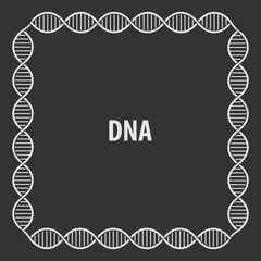 DNA abstract frame, human genetic symbol	