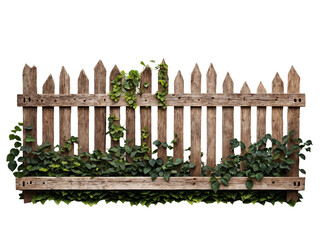 Rustic weathered wooden picket fence covered with ivy and foliage on a transparent background. Old overgrown wooden fence PNG.