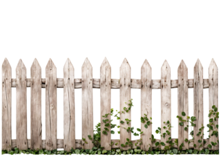 Rustic weathered wooden picket fence covered with ivy and foliage on a transparent background. Old overgrown wooden fence PNG.