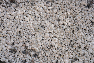 Close-Up Texture of Stone Block texture