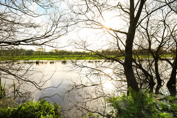 The River Avon burst its banks in Salisbury city