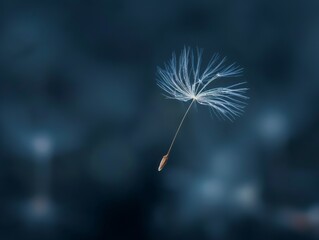 A delicate dandelion seed floats gracefully against a serene, blurry blue background.