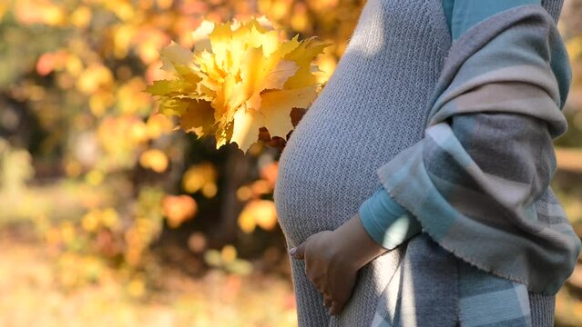 Pregnant woman holding her tummy outdoors, close up. Future mother walking in autumn park. Concept of pregnancy, maternity, expectation for baby birth.