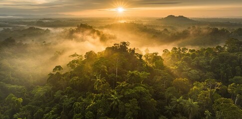 Adventure Explore Air: Vibrant Dronescape of Amazon Forest at Sunset Sunrise