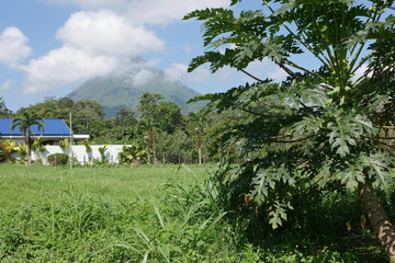 Tropische Vegetation und Vulkan Arenal in La Fortuna in Costa Rica