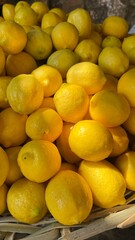 Ripe yellow lemons close up Background. Lemon harvest, many yellow lemons