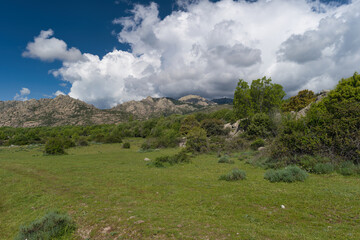 landscape, view, nature, mountains, plants, trees, greenery, spr