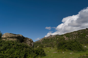 landscape, view, nature, mountains, plants, trees, greenery, spr