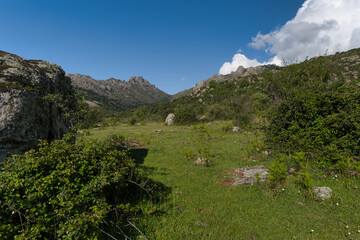landscape, view, nature, mountains, plants, trees, greenery, spr