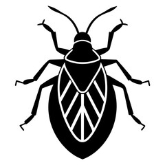 black and white beetle