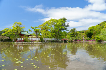 Obraz premium 鎌倉 鶴岡八幡宮の源氏池にある旗上弁財天社