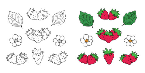 Set of strawberry and flower designs for coloring book, cute strawberry set.