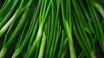 Fresh green spring onion on black background. Top view, flat lay