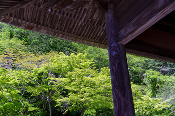 鎌倉 妙本寺、祖師堂から眺める新緑