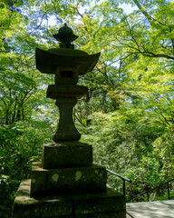 鎌倉 妙本寺の二天門から望む参道の石灯籠
