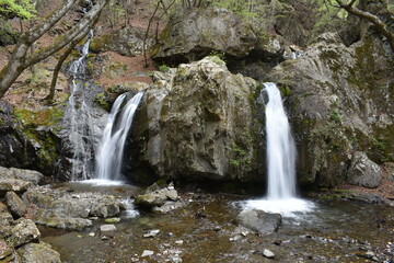 Obraz premium 乙女の滝