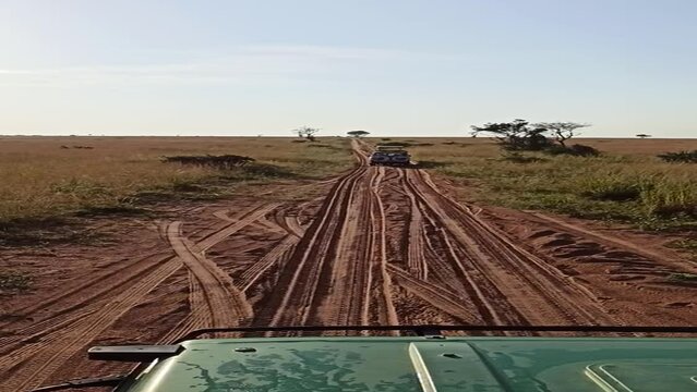 Safari vehicles driving along a dirt road. The road is bumpy and dusty. Africa, Uganda, Pakuba