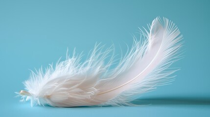   A tight shot of a pristine white feather against a blue backdrop, featuring a droplet of water at its tip