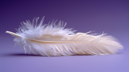   A white feather atop a purple table, adjacent to a purple wall and background