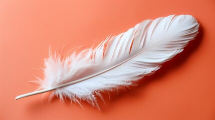   A white feather atop an orange surface Nearby, a white cane with a white tip