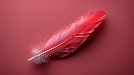   A red feather rests atop a red surface Nearby, a white stick is positioned, its tip also white