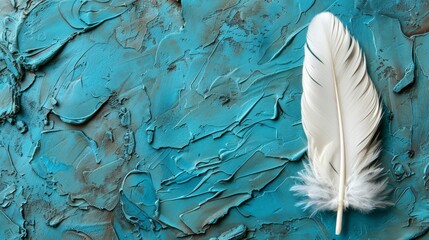   A tight shot of a pristine white feather against a blue-painted wall, featuring a larger white feather in the frame's left half