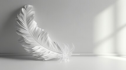   A white feather atop the table, near a shadow cast by a person's outline on the wall