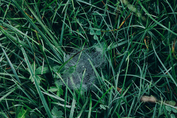 Beautiful sunrise in mountains with white fog below panorama