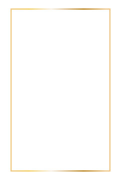 Golden rectangular vertical frame. Vector outline thin aesthetic geometric shine border for invitations design