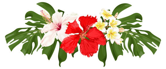 Tropical bouquet with hibiscus flower, plumeria and monstera leaves. Stock vector illustration on a white background. © dinatychynska
