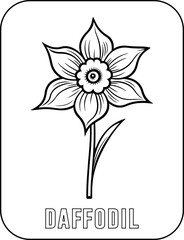 Daffodil flower coloring page for kids. Vector black and white hand drawn illustration for coloring book