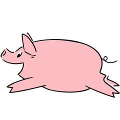 Cute little pig posing and jumping very happy and funny