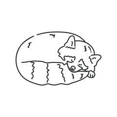 Hand drawn cute red panda is sleeping. Red panda outline. Vector illustration