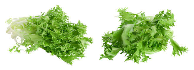 Fresh green leaves of endive frisee chicory salad isolated on white background with  full depth of...
