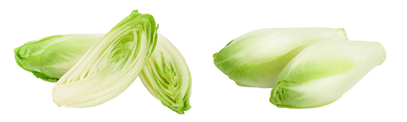 Chicory salad isolated on white background with  full depth of field. - obrazy, fototapety, plakaty