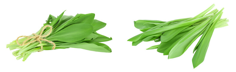 Fototapeta premium Ramson bunch vegetable isolated on white background with full depth of field